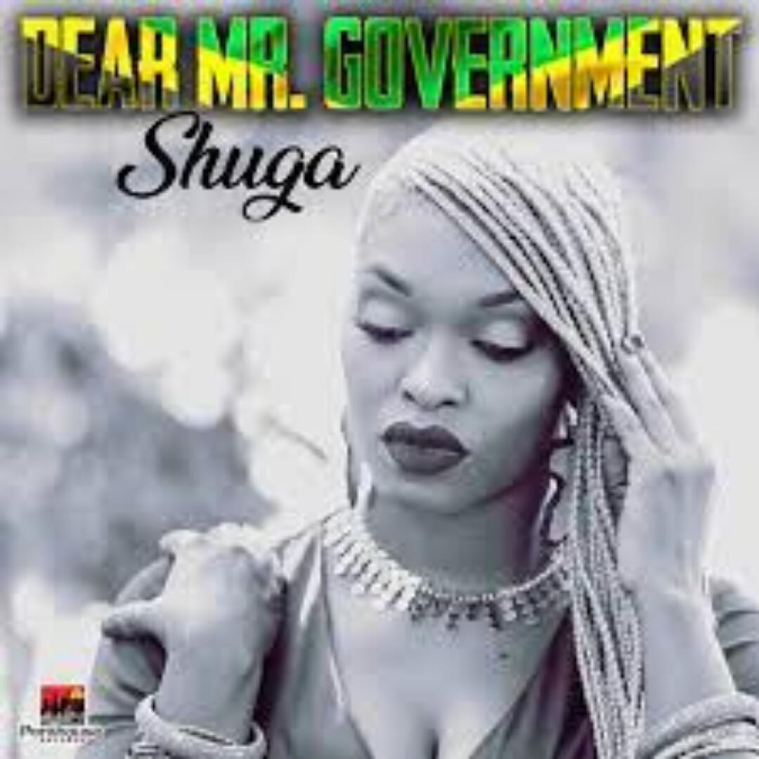 Shuga - Mr. Government
